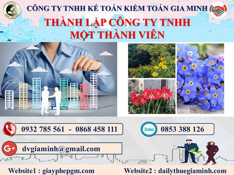 Thủ tục thành lập doanh nghiệp TNHH MTV tại Huyện Củ Chi