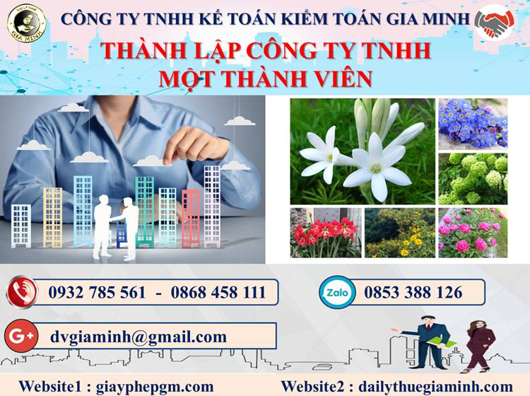 Thủ tục thành lập doanh nghiệp TNHH MTV tại Huyện Thạch Thất