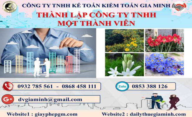 Thủ tục thành lập doanh nghiệp TNHH MTV tại Quận 10