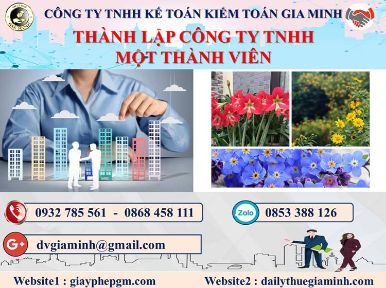 Thủ tục thành lập doanh nghiệp TNHH MTV tại Quận 5