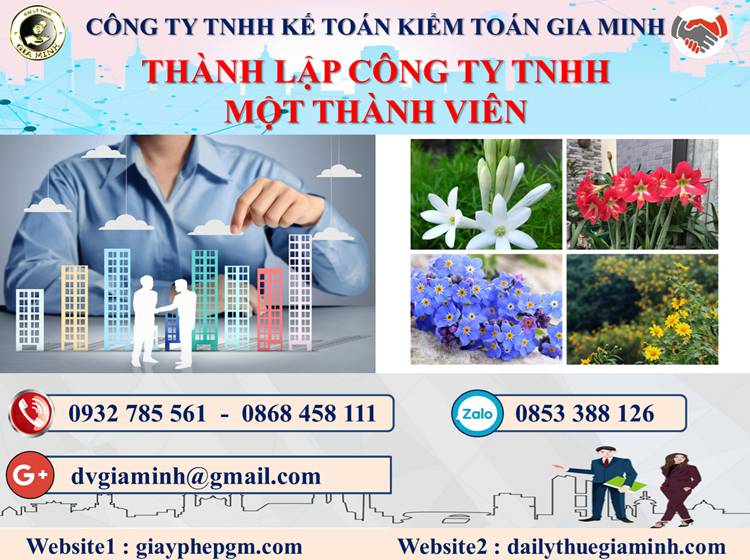 Thủ tục thành lập doanh nghiệp TNHH MTV tại Quận 8