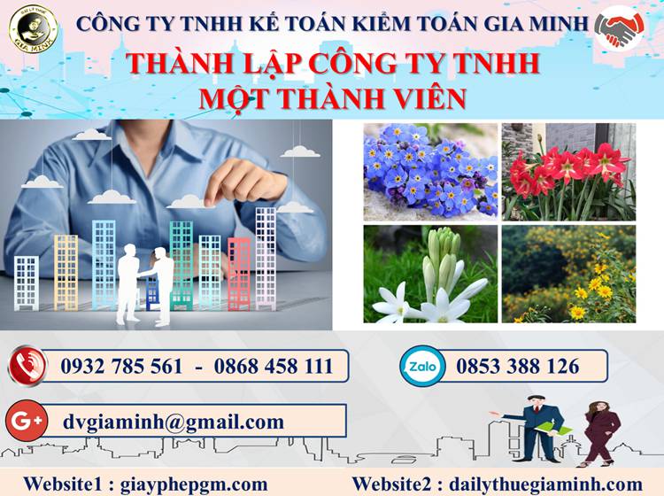 Thủ tục thành lập doanh nghiệp TNHH MTV tại Thị xã Quảng Yên