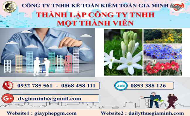 Thủ tục thành lập doanh nghiệp TNHH MTV tại Quận Bình Tân