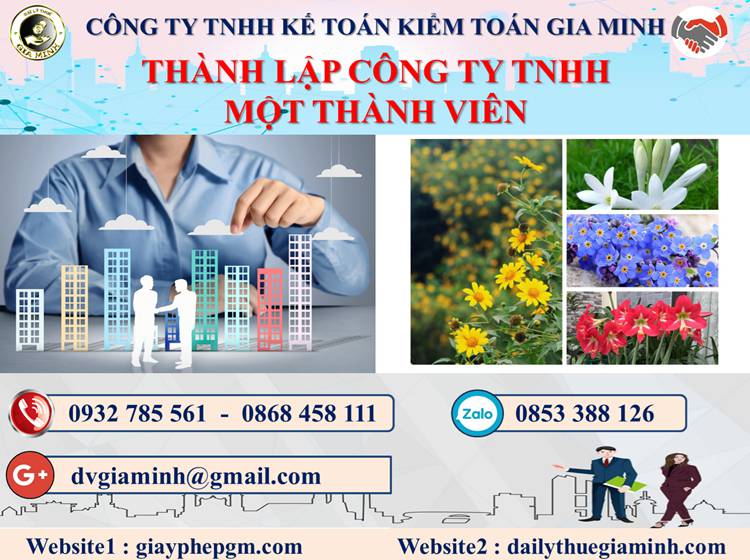 Thành lập công ty TNHH MTV tại Quận Bình Thạnh 4 Thủ tục thành lập doanh nghiệp TNHH MTV tại Quận Bình Thạnh