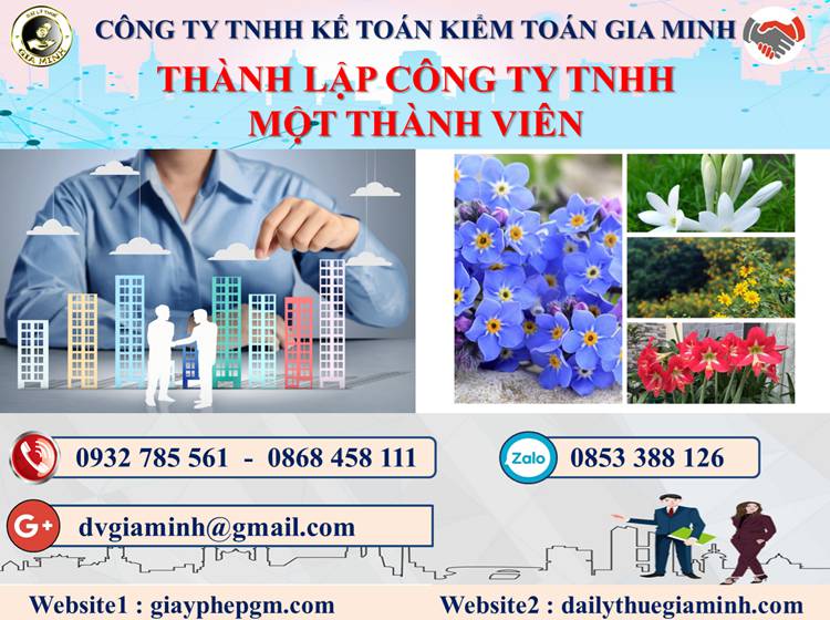 Thủ tục thành lập doanh nghiệp TNHH MTV tại Quận Gò Vấp