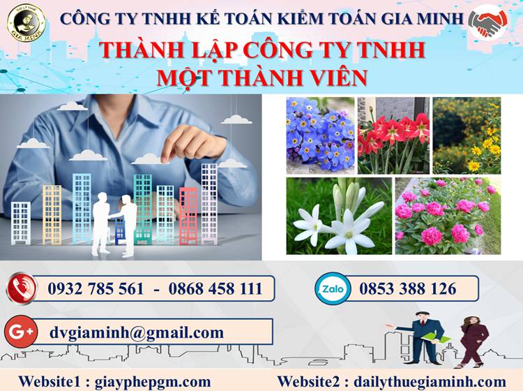 Thủ tục thành lập doanh nghiệp TNHH MTV tại Quận Hoàng Mai