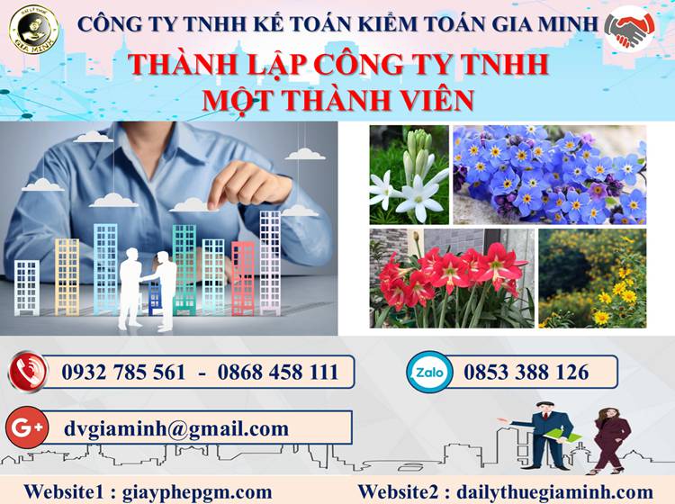 Thủ tục thành lập doanh nghiệp TNHH MTV tại Quận Thủ Đức