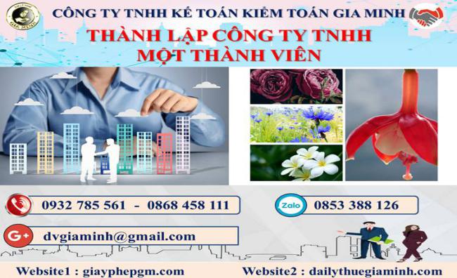 Thủ tục thành lập doanh nghiệp TNHH MTV tại Thành phố Hải Phòng