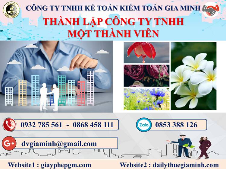 Thủ tục thành lập doanh nghiệp TNHH MTV tại Thị xã hương thủy
