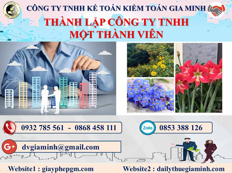 Thành lập công ty TNHH MTV tại TPHCM – Hướng dẫn chi tiết từ A-Z 4 Thủ tục thành lập doanh nghiệp TNHH MTV tại TPHCM