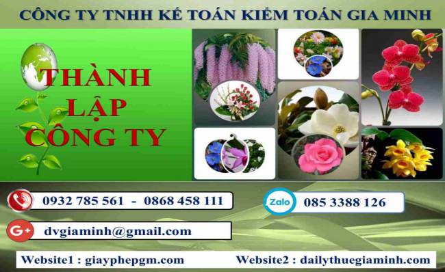 Thủ tục thành lập công ty tư vấn thiết kế kiến trúc tại Huế