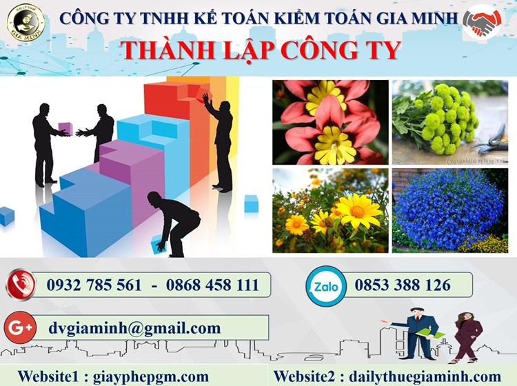Thủ tục thành lập công ty tư vấn thiết kế kiến trúc tại Quận Hải Châu