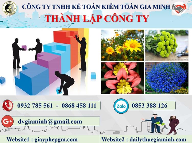 Thủ tục thành lập công ty tư vấn thiết kế kiến trúc tại Quận Ngô Quyền