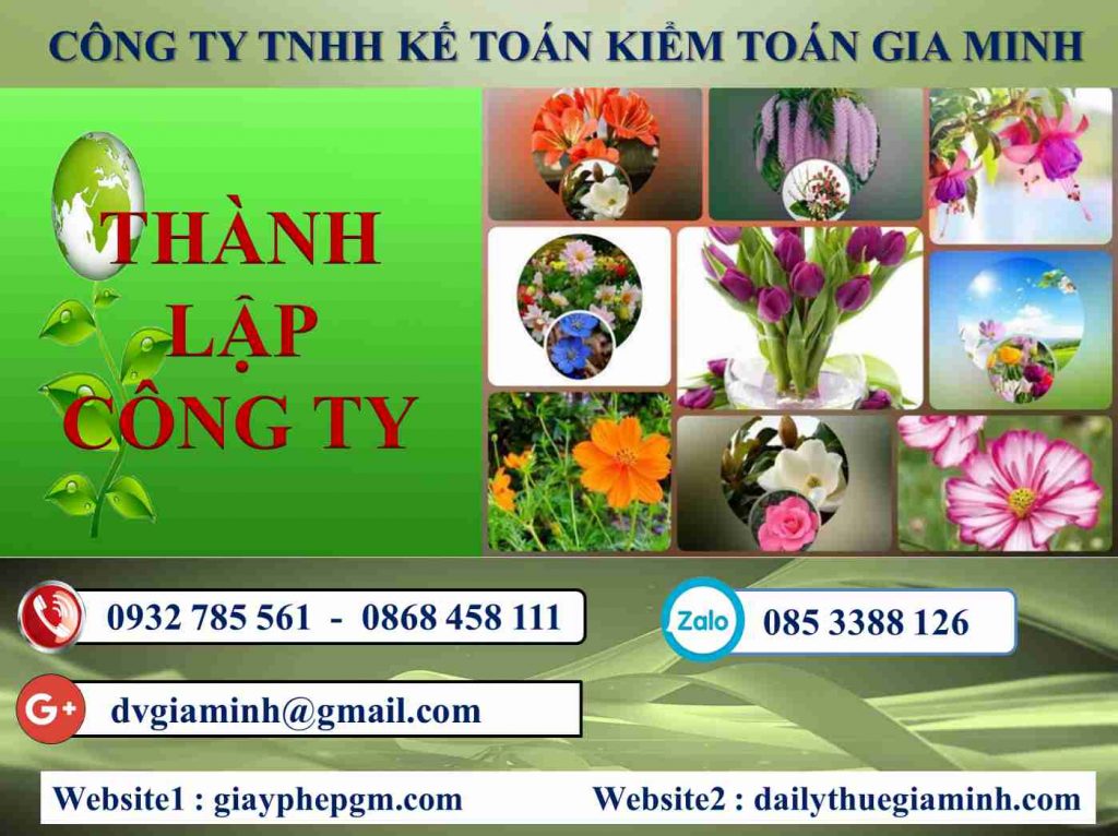 Thủ tục thành lập công ty tư vấn thiết kế kiến trúc tại Thành Phố Hải Phòng
