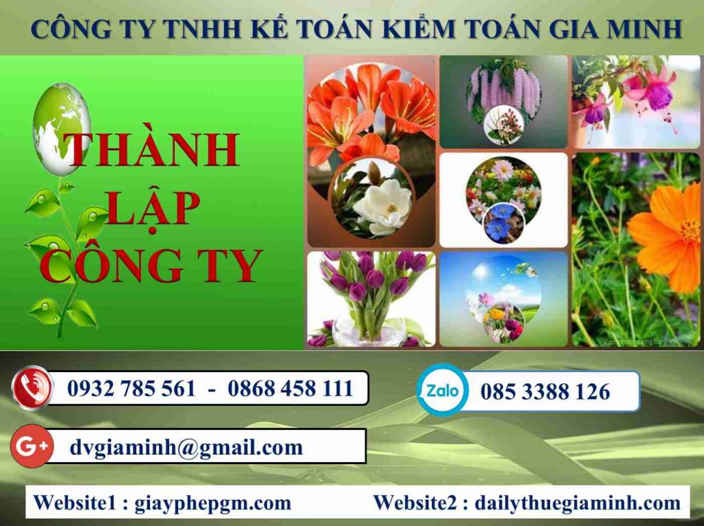 Thủ tục thành lập doanh nghiệp Thành phố Hải Phòng