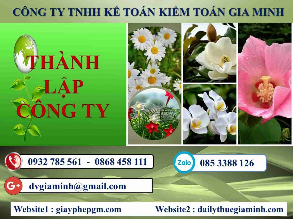 Thủ tục thành lập doanh nghiệp TP Hải Phòng