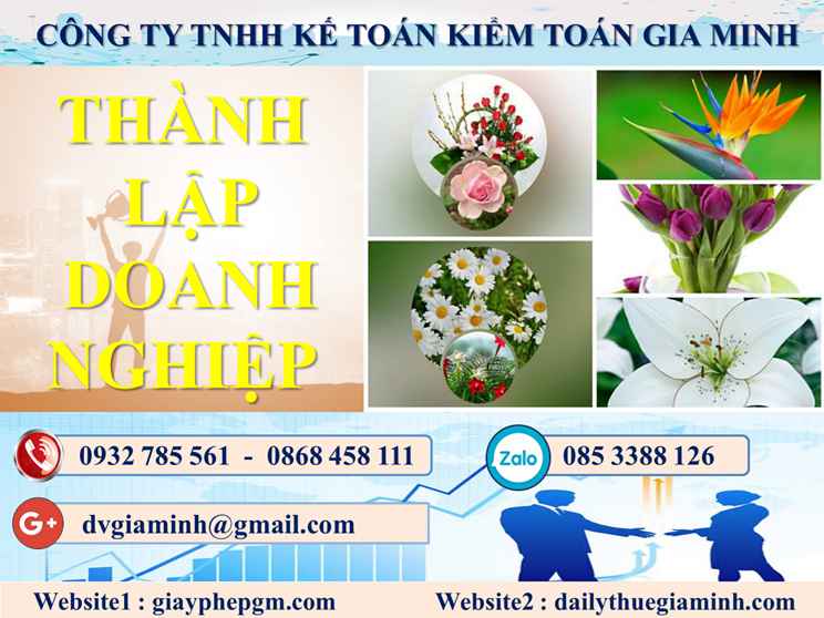 Thủ tục thành lập công ty trọn gói TP Hải Phòng