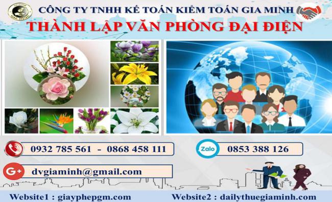 Thành lập văn phòng đại diện ở Huyện Vĩnh Bảo 1 Thủ tục đăng ký văn phòng đại diện ở Huyện Vĩnh Bảo