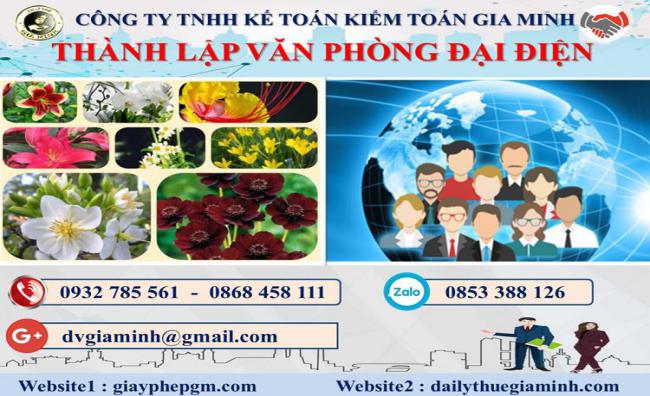 Thành lập văn phòng đại diện ở Lào Cai 4 Thủ tục đăng ký văn phòng đại diện ở Lào Cai
