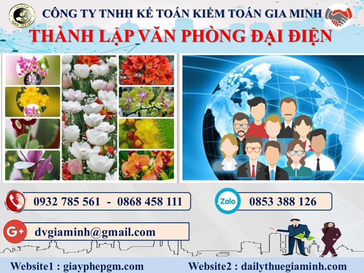 Thủ tục đăng ký văn phòng đại diện ở Quận Liên Chiểu