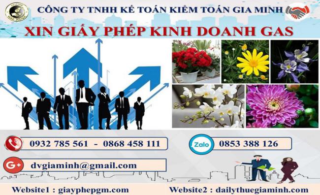 Xin giấy phép kinh doanh gas tại Thái Bình 4 Thủ tục xin giấy phép kinh doanh gas tại Thái Bình