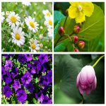 Tìm DVKT báo cáo thuế tại Quận 9