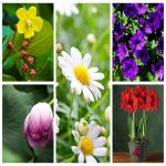 Dịch vụ kế toán báo cáo thuế tại Quận Tây Hồ 6 Tìm DVKT báo cáo thuế tại Quận Tây Hồ