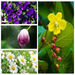 Dịch vụ kế toán báo cáo thuế tại Thành phố Hồ Chí Minh 6 Tìm DVKT báo cáo thuế tại Thành phố Hồ Chí Minh