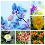 Dịch vụ kế toán chuyên nghiệp tại Đà Nẵng 6 Tìm DVKT chuyên nghiệp tại Đà Nẵng