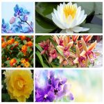 Dịch vụ kế toán chuyên nghiệp tại Quận Bình Thạnh 6 Tìm DVKT chuyên nghiệp tại Quận Bình Thạnh