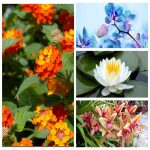 Dịch vụ kế toán chuyên nghiệp tại Thành phố Hải Phòng 6 Tìm DVKT chuyên nghiệp tại Thành phố Hải Phòng