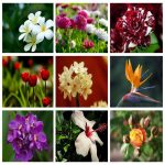 Dịch vụ kế toán giá rẻ tại Hà Giang 6 Tìm kế toán tại Hà Giang