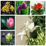 Dịch vụ kế toán giá rẻ tại Huyện Thới Lai 6 Tìm kế toán tại Huyện Thới Lai