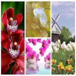 Dịch vụ kế toán giá rẻ tại Quận Bình Thạnh 6 Tìm kế toán tại Quận Bình Thạnh
