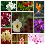 Dịch vụ kế toán giá rẻ tại Quận Đống Đa 6 Tìm kế toán tại Quận Đống Đa
