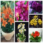 Dịch vụ kế toán giá rẻ tại Quận Hải An 6 Tìm kế toán tại Quận Hải An