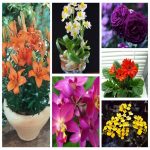 Dịch vụ kế toán giá rẻ tại Quận Kiến An 6 Tìm kế toán tại Quận Kiến An