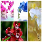 Dịch vụ kế toán giá rẻ tại TP Hà Nội 6 Tìm kế toán tại TP Hà Nội