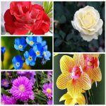 Dịch vụ kế toán Hà Tĩnh 6 Tìm kế toán Hà Tĩnh
