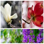 Dịch vụ kế toán trọn gói tại Huyện Bình Chánh 6 Tìm kế toán trọn gói tại Huyện Bình Chánh