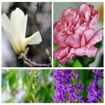 Dịch vụ kế toán trọn gói tại Nhà Bè 6 Tìm kế toán trọn gói tại Nhà Bè