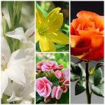 Mở cửa hàng photocopy tại Bình Định 6 Tìm mở cửa hàng tại Bình Định