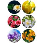 Mở cửa hàng photocopy tại Thành phố Hải Phòng 6 Tìm mở cửa hàng tại Thành phố Hải Phòng