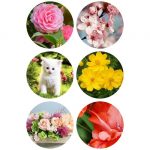 Mở cửa hàng photocopy tại TP Hà Nội 6 Tìm mở cửa hàng tại TP Hà Nội