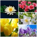 Mở cửa hàng photocopy tại Yên Bái 6 Tìm mở cửa hàng tại Yên Bái