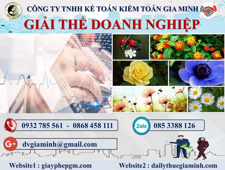 Dịch Vụ Giải Thể Doanh Nghiệp Tại Hà Tĩnh – Hướng Dẫn Toàn Diện 2025 5 Thủ tục dịch vụ giải thể doanh nghiệp tại Hà Tĩnh