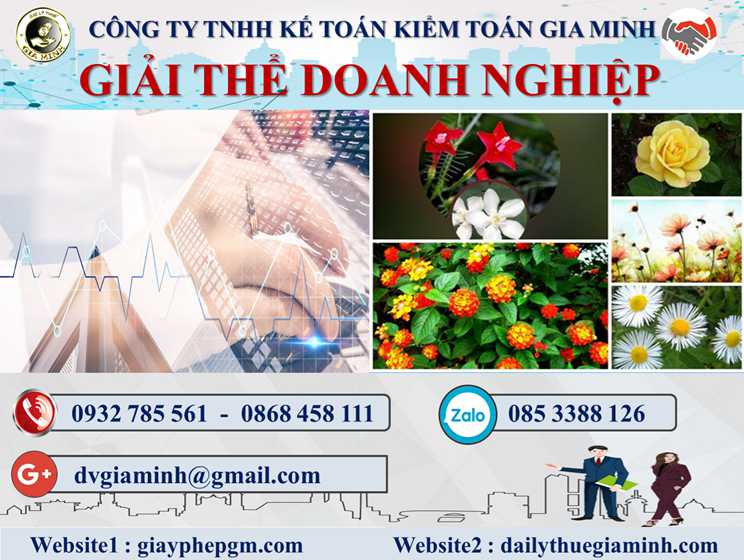 Dịch vụ giải thể doanh nghiệp tại Kiên Giang 4 Thủ tục dịch vụ giải thể doanh nghiệp tại Kiên Giang