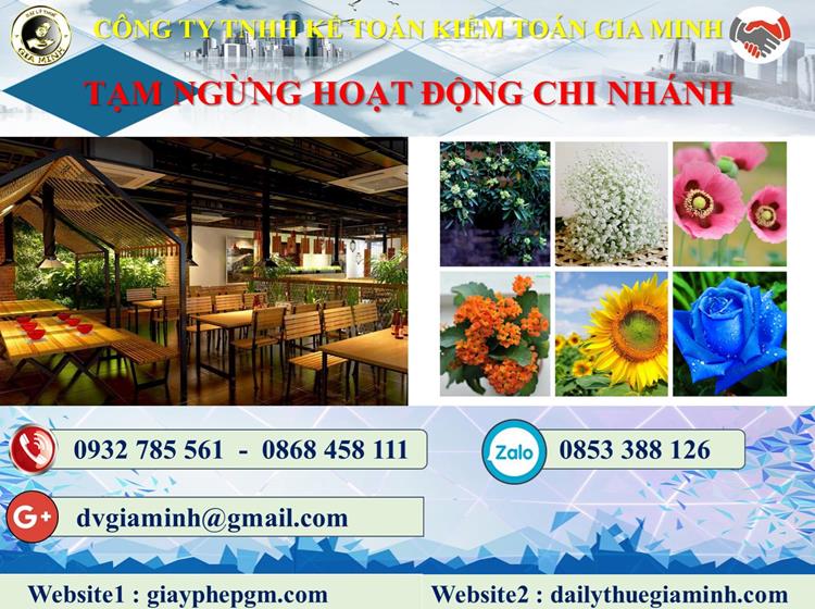 Thủ tục tạm ngừng hoạt động chi nhánh tại Huyện Bình Chánh