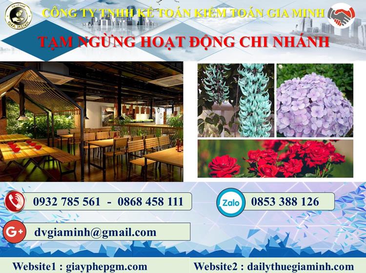 Thủ tục tạm ngừng hoạt động chi nhánh tại Quận 11