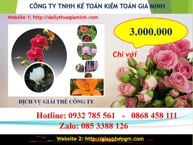 Chi phí giải thể công ty trọn gói giá rẻ tại Hà Nội